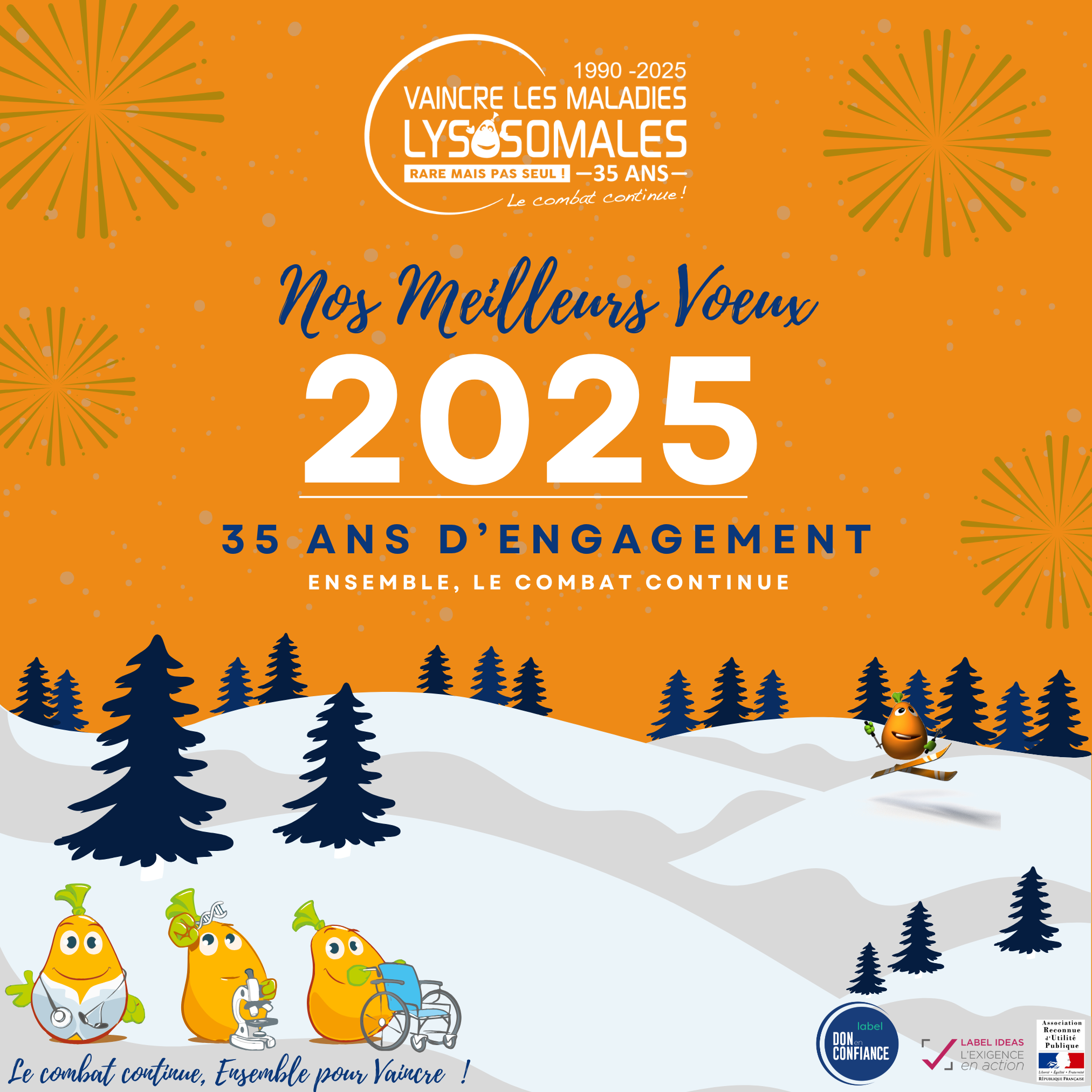 Meilleurs vœux 2025 Vaincre les maladies lysosomales